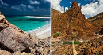 Socotra, het prachtige afgelegen eiland dat 6 miljoen jaar oud is en eruitziet als een buitenaardse wereld