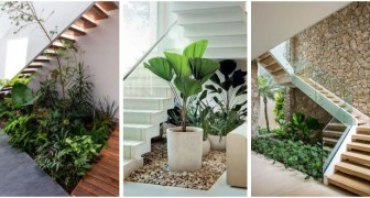 Un giardino nel sottoscala: lasciati ispirare da bellissimi angoli verdi indoor