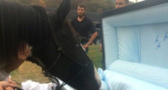 A horse says farewell to its master for the last time with a kiss during the funeral