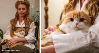 La gatita le salva la vida a su dueña saltando sobre su panza: no sabía que tenía un tumor