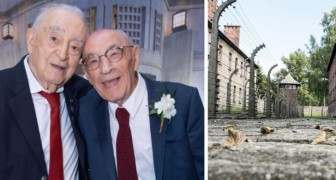 Compartieron la experiencia del Holocausto, pero se perdieron de vista: dos amigos se encuentran 80 años después