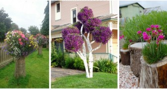 Haben Sie einen gefällten Baumstamm in Ihrem Garten? Verwandeln Sie ihn in eine Blumenskulptur