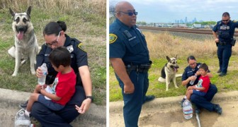 Encontram um menino de 5 anos com síndrome de Down que estava perdido: seu cachorro o protegeu o tempo todo