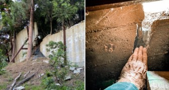 Gebouwen uit nachtmerries: 16 foto's van bouwkundige inspecties die grote schade aan huizen en gebouwen aan het licht brengen