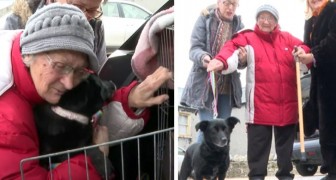 Hond maakt een reis van meer dan 2.000 km om haar 86-jarige baasje te omhelzen