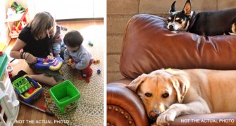 Ze vraagt ​​haar zus haar baan op te geven om babysitter te zijn: mijn kinderen zijn belangrijker dan jouw honden