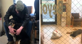 17-year-old homeless man leaves his dog in a shelter, but thanks to strangers, he manages to embrace him again