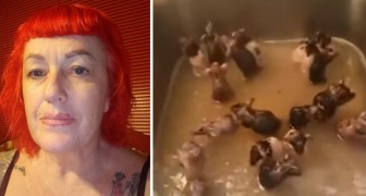 Questa donna vive con 50 topi in casa: sono i suoi bambini e fanno il bagno nel lavandino (+VIDEO)