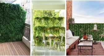 Möchten Sie Ihren Balkon beschatten oder Privatsphäre schaffen? Verwenden Sie Pflanzen, auch künstliche