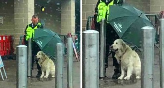 Una guardia giurata ripara un cane dalla pioggia con il suo ombrello, e il suo gesto si diffonde sul web