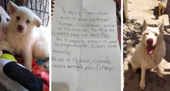 Young boy had to give up his puppy dog because his father mistreated him: 2 years later, he continues to send the dog letters