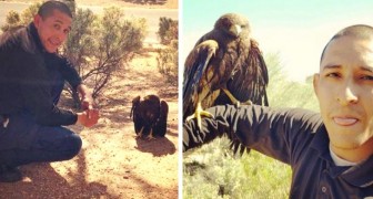 Man saves a bird of prey which then never leaves his side: He's thanking me for helping him (+ VIDEO)