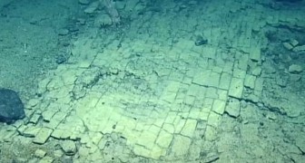 Scienziati scoprono un curioso fondale lastricato a 3 km di profondità: sembra la strada per Atlantide