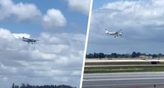Pilot loses control of his plane: an inexperienced passenger manages to land it and saves everyone (+ VIDEO)