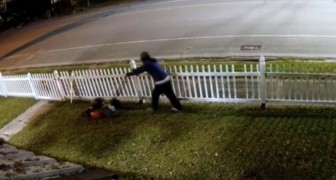 En man blir filmad när han snor en gräsklippare och klipper ägarens gräsmatta: efterlyst