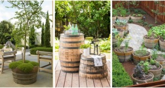Fässer als Pflanzgefäße und originelle Möbel: recyceln Sie sie, um Ihren Garten mit rustikalem Charme zu schmücken