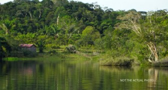 Uraltes Netz verlorener Städte im Amazonas entdeckt: geschichtsverändernde Neuigkeiten
