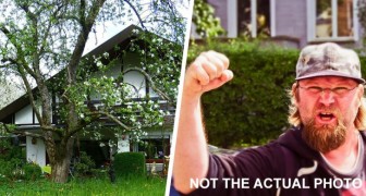Il vicino di casa gli chiede di rimuovere un albero: è un ricordo d'infanzia e non lo taglierò mai