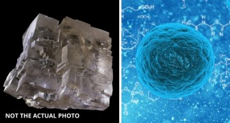 Scoperto un cristallo di 830 milioni di anni che conterrebbe forme di vita preistoriche sconosciute