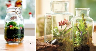 Terrario fai da te: scopri come trasformare un barattolo di vetro in un delizioso giardino in miniatura