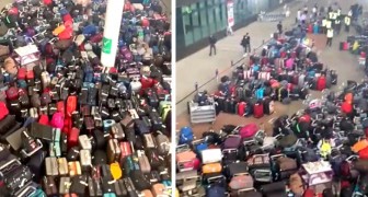 Resenärer tvingas leta fram sina egna resväskor i ett berg av väskor (+VIDEO)