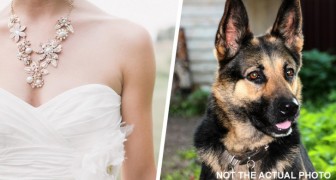 La mariée demande à son beau-frère de ne pas amener son chien au mariage : il ignore la demande et est chassé