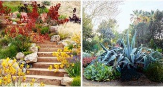 Machen Sie Ihren Garten trockenheitsresistenter: 11 wertvolle Tipps