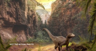 Fossile Überreste von 11 Dinosauriern gefunden: darunter das gut erhaltene Skelett eines 5 Meter langen Exemplars