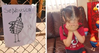 Distraught little girl cannot find her favorite hen and draws a lost poster: the web is moved