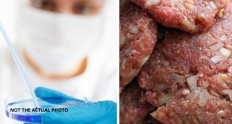 I ricercatori sviluppano un metodo innovativo per produrre polpette di carne in laboratorio