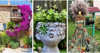 Leidenschaft für den Garten: 11 erstaunliche kreative Projekte auf Facebook geteilt