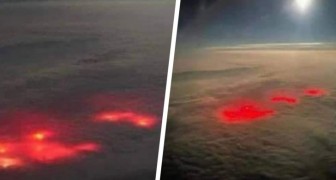 Piloot fotografeert een merkwaardige rode vlek op de oceaan: het web ging los met de meest bizarre theorieën