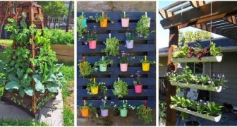 11 ottime idee salvaspazio per coltivare piante in giardino o sul balcone