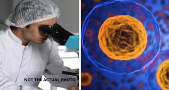Entwicklung von Anti-Tumor-Nanopartikeln, die Krebs von innen heraus bekämpfen, ohne dass Medikamente eingesetzt werden