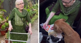 Aos 90 anos alimenta 120 cães de rua todas as manhãs: o amor deles é o meu remédio