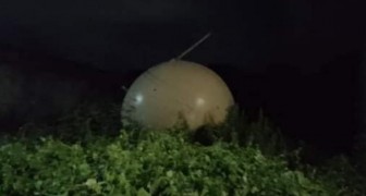 Une mystérieuse sphère métallique géante a été trouvée sur un arbre au Mexique : son origine est inconnue