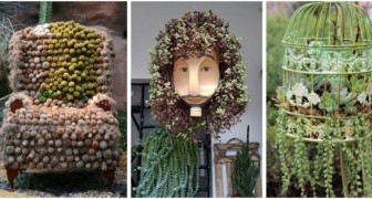 Composizioni con le piante succulente: 11 trovate super creative per decorare con oggetti riciclati