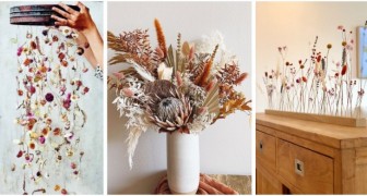Trockenblumen für die Heimdekoration: 12 bezaubernde Ideen, die Sie inspirieren