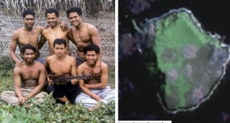 L'histoire incroyable des six garçons qui ont échoué sur une île déserte où ils ont vécu pendant un an et demi