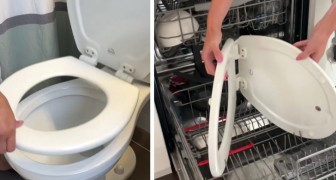 Propongono di lavare la tavoletta del wc in lavastoviglie e fanno scoppiare le polemiche: È disgustoso!