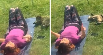 Ze vindt de kat niet meer en zoekt hem door het hele huis: dan ontdekt ze dat hij in de tuin yoga doet met de buurvrouw (+ VIDEO)