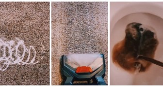 Fare lo shampoo alla moquette: una pulizia a fondo da non dimenticare