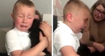 En 7-åring kan inte hålla tillbaka tårarna när han ser en valp: Från och med nu kommer jag att vara din bästa vän (+VIDEO)