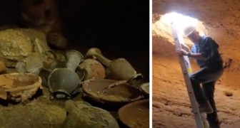 Découverte surprise d'une grotte en Israël contenant des vases égyptiens : Une découverte unique