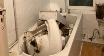 L'inquilino ritarda il pagamento dell'affitto e lui si vendica distruggendogli il bagno: multato