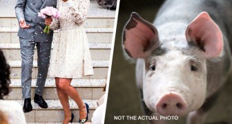 Min mamma tog med sig sin gris på mitt bröllop mot min vilja så jag slängde ut henne från festen