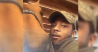 A boy gives a kiss to his horse: the reaction of the animal is sensational !