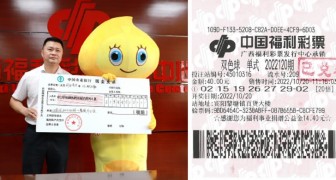 Man wins $ 30 million but does not tell his wife and son: he collects his prize wearing a yellow bird costume