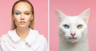 20 photos de l'artiste qui photographie des personnes avec leurs animaux, mettant en évidence leur ressemblance