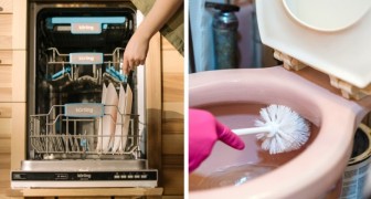 Woman washes her toilet brush in her dishwasher, thinking it's okay: her friend is scandalized